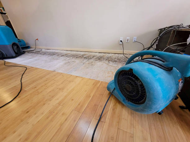Professional Emergency Water Damage technician working in Dayton, WA